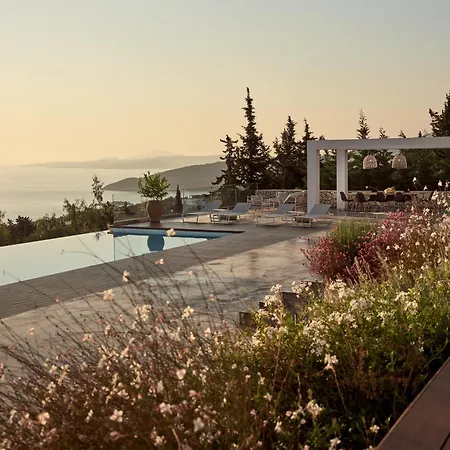 Meraki * Ayos Nikolaos